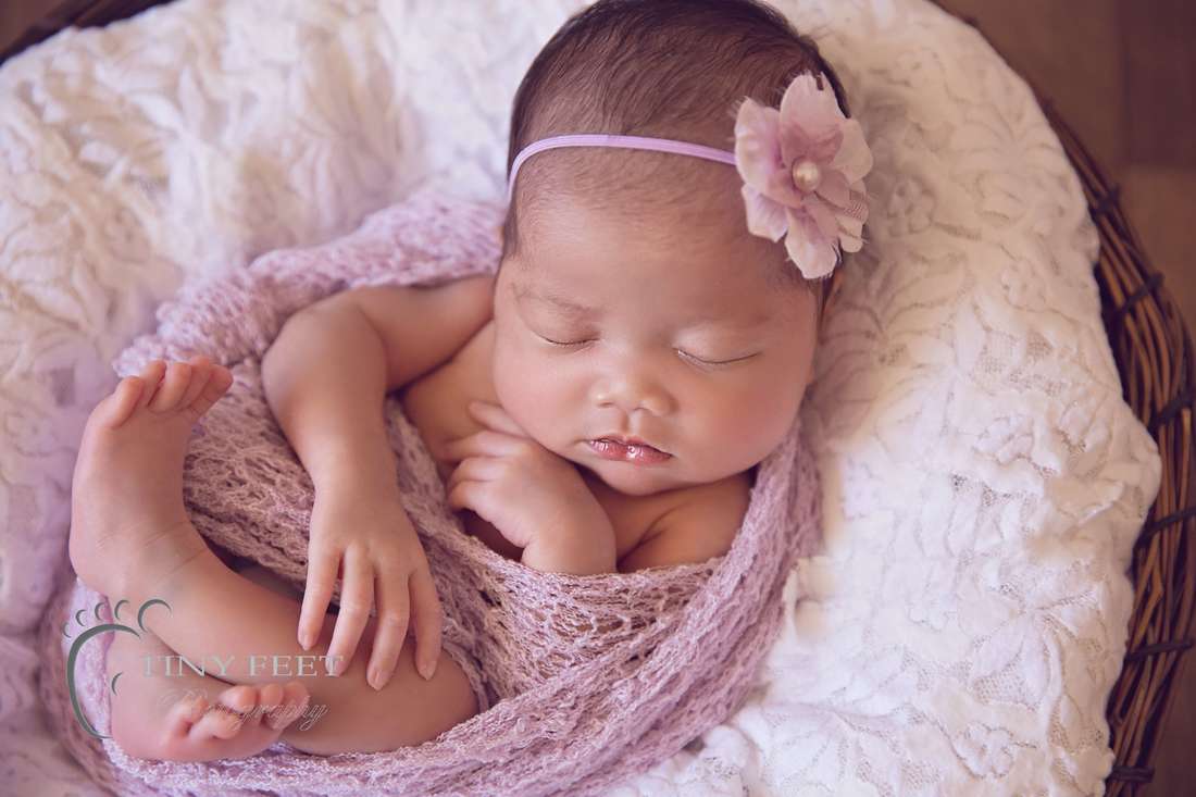 Tiny Feet Photography newborn baby girl in purple wrap in basket