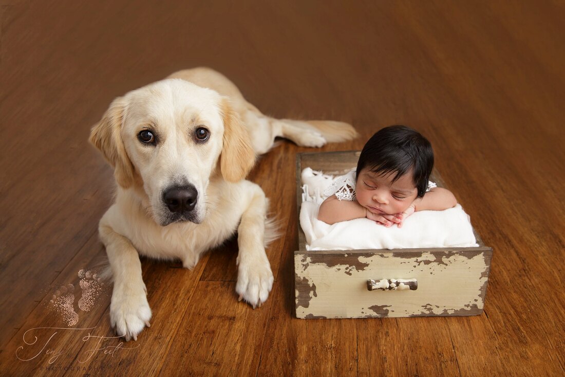 Tiny Feet Photography Newborn girl in wooden crate with puppy