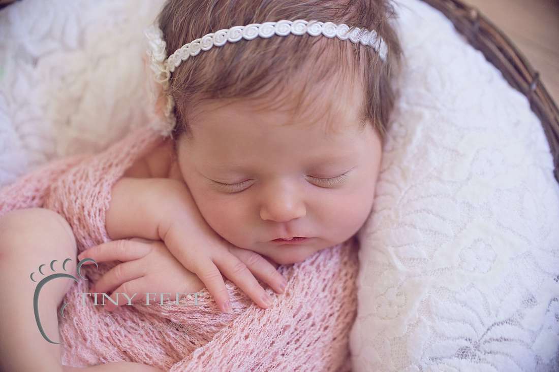 Tiny Feet Photography baby girl wrapped in pink posed in lace bowl