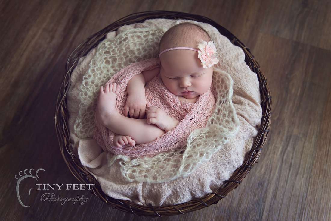 Newborn bowl posing prop