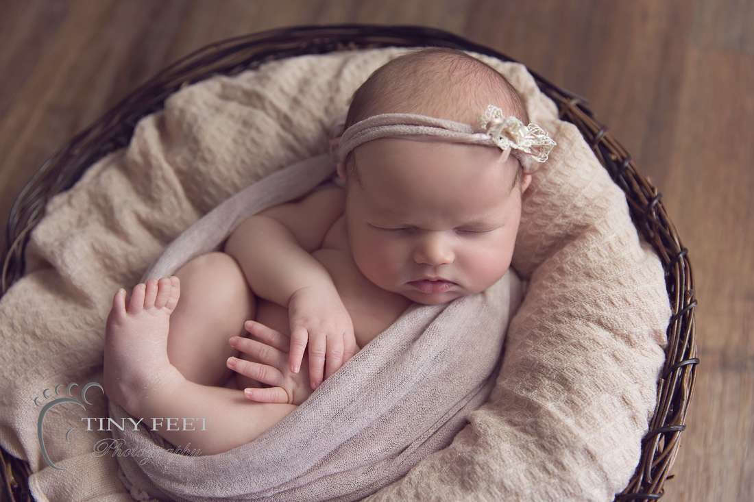 Newborn posing in a bowl