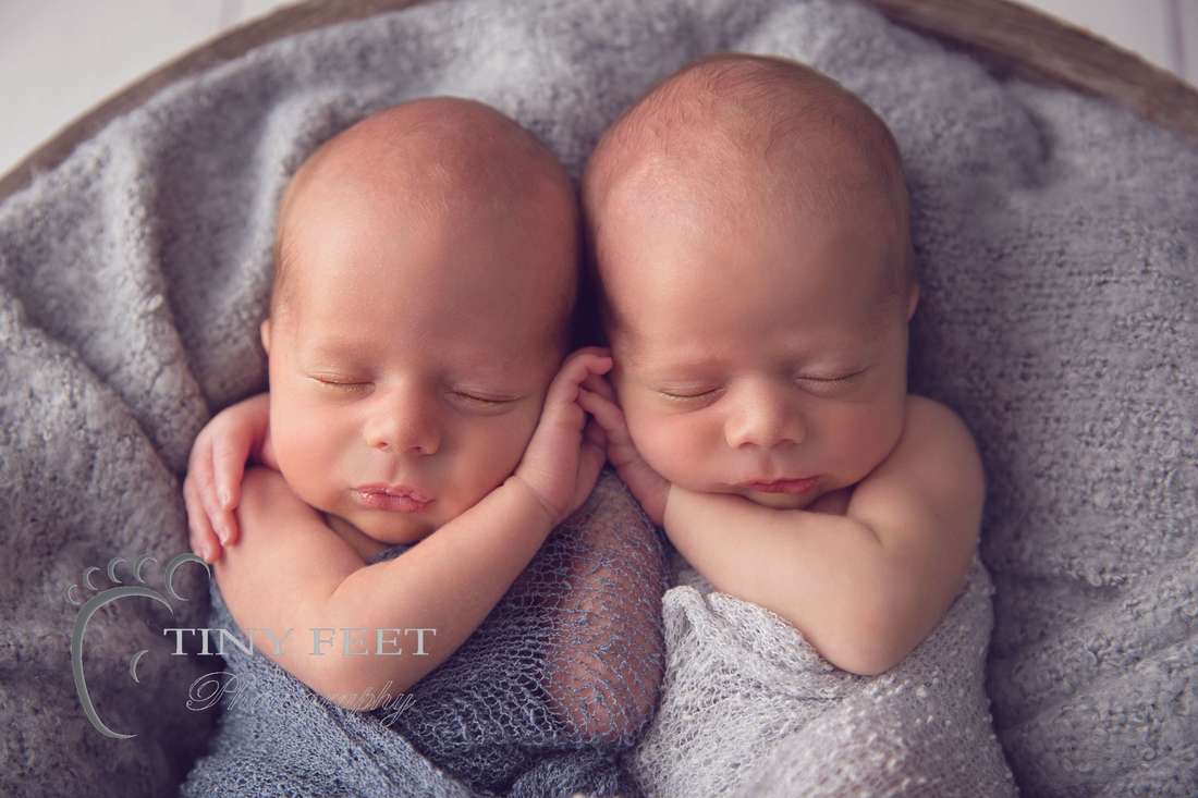 Tiny Feet Photography newborn boy twins posed in bowl