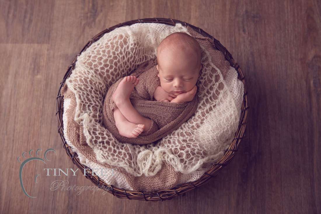 Tiny Feet Photography newborn boy posed in brown bowl