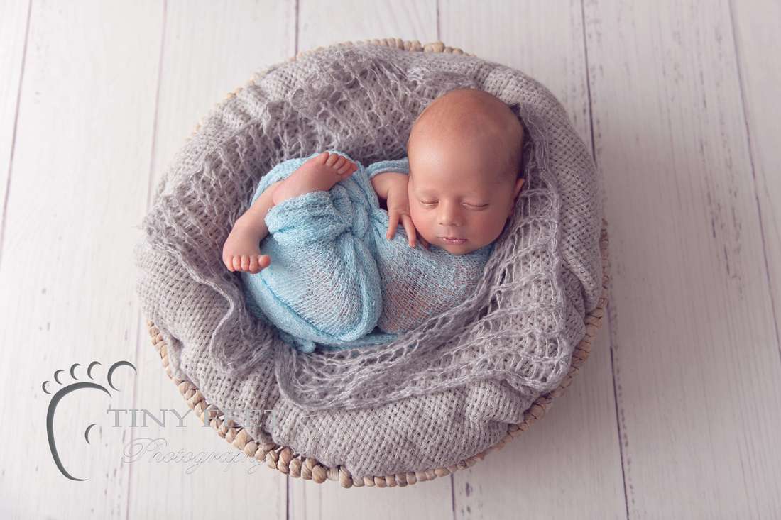 Tiny Feet Photography newborn boy posed in blue wrap on grey