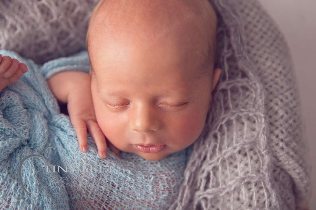 Tiny Feet Photography newborn boy posed in blue wrap on grey