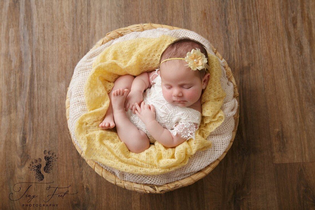 Tiny Feet Photography In home studio newborn session posed in a bowl with yellow 