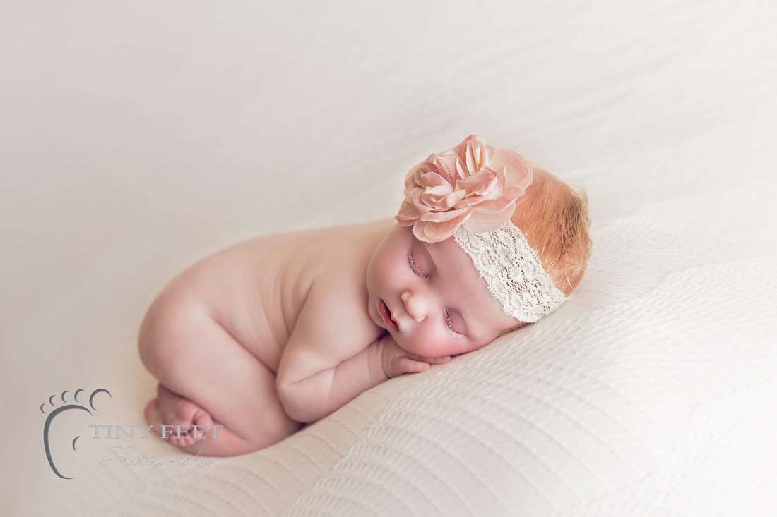 Tiny Feet Photography newborn baby posed on white beanbag blanket in bum up