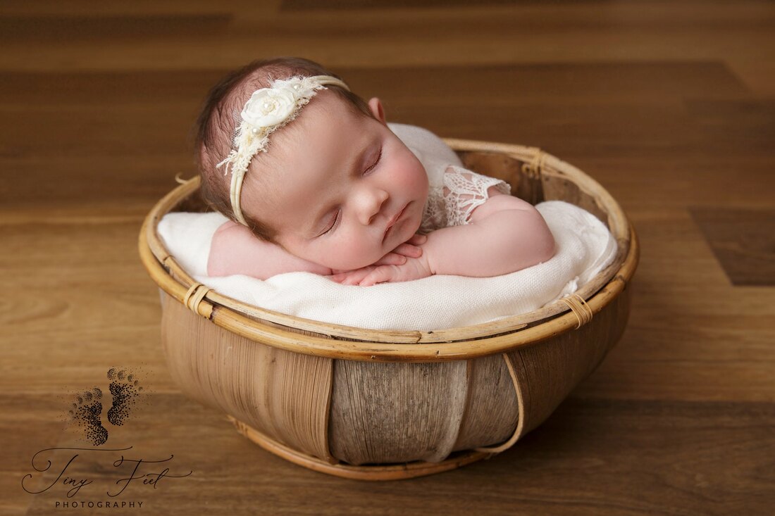 Tiny Feet Photography In home studio newborn session of baby girl in bucket posed on her tummy
