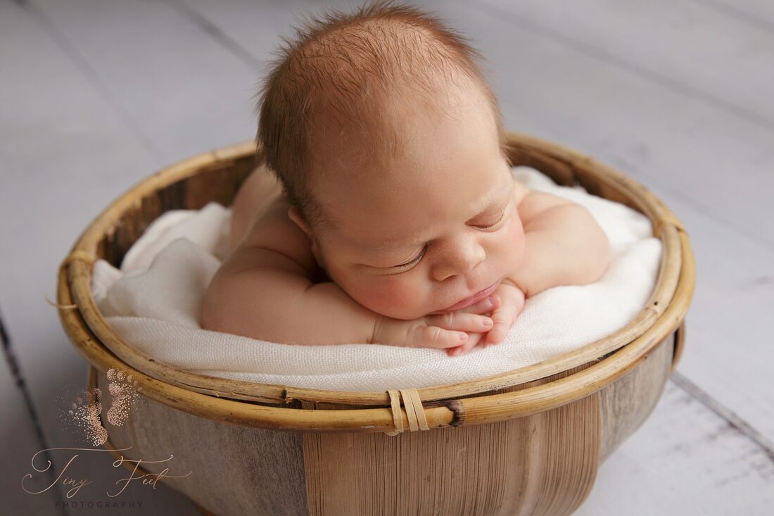 Tiny Feet Photography Newborn baby boy posed on chin on hands in upright prop of coconut bowl on white wood flooring