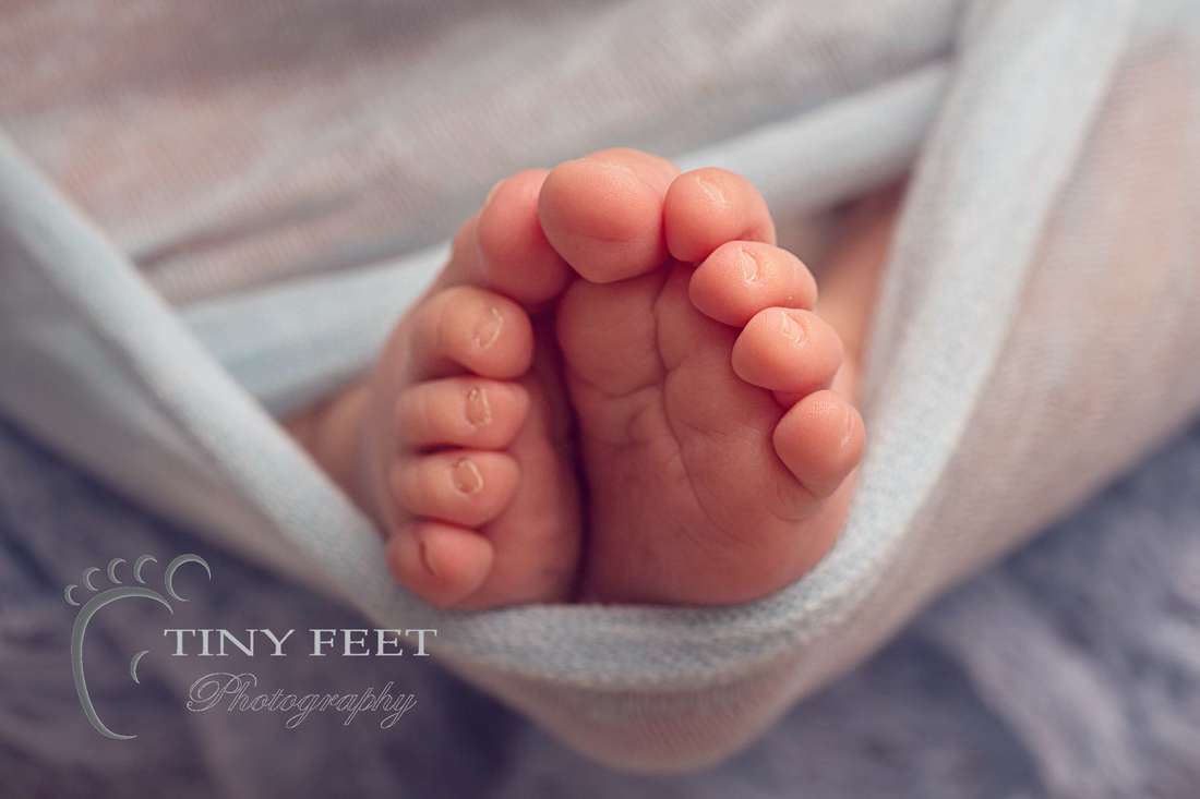Tiny Feet Photography newborn baby close up shot of toes