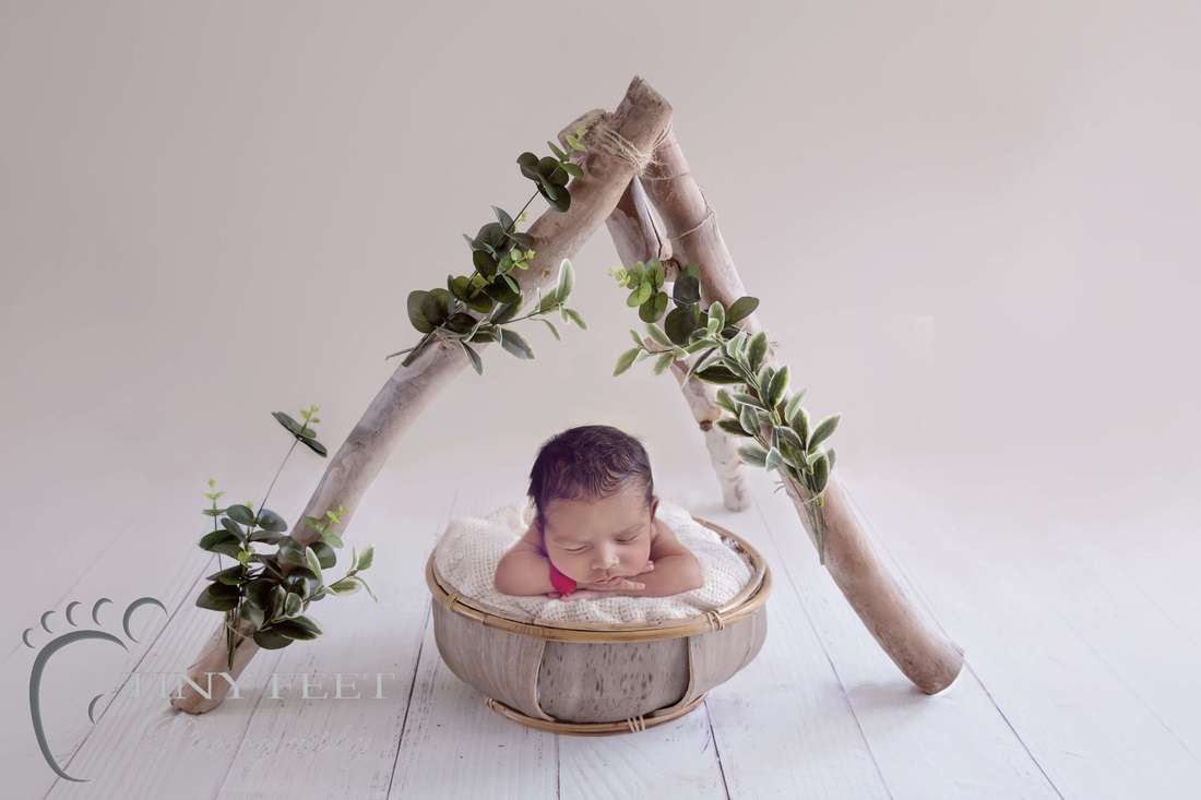 Tiny Feet Photography newborn baby posed under teepee with greenery