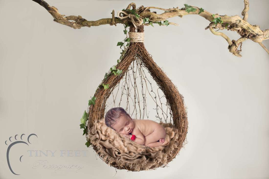 Tiny Feet Photography newborn baby posed in brown hanging digital backdrop