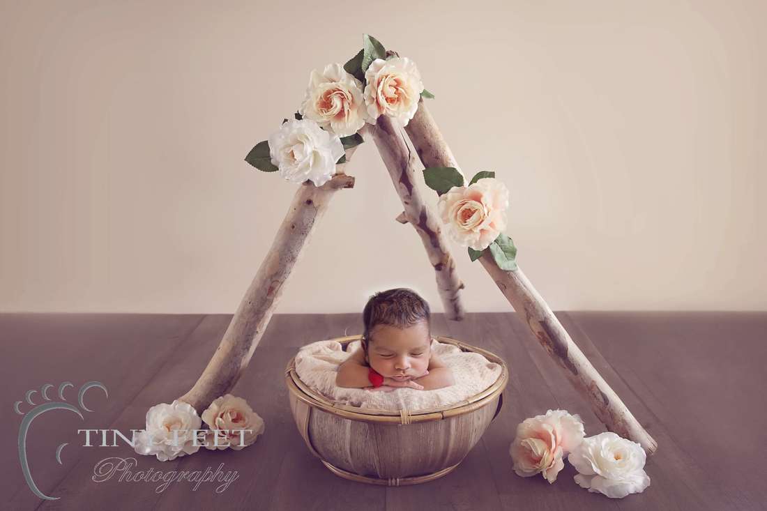 Tiny Feet Photography newborn baby posed in teepee with flowers