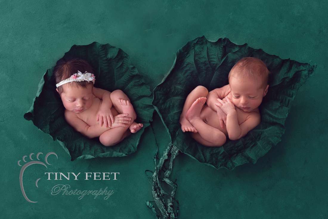 Tiny Feet Photography newborn twins posed in digital backdrop