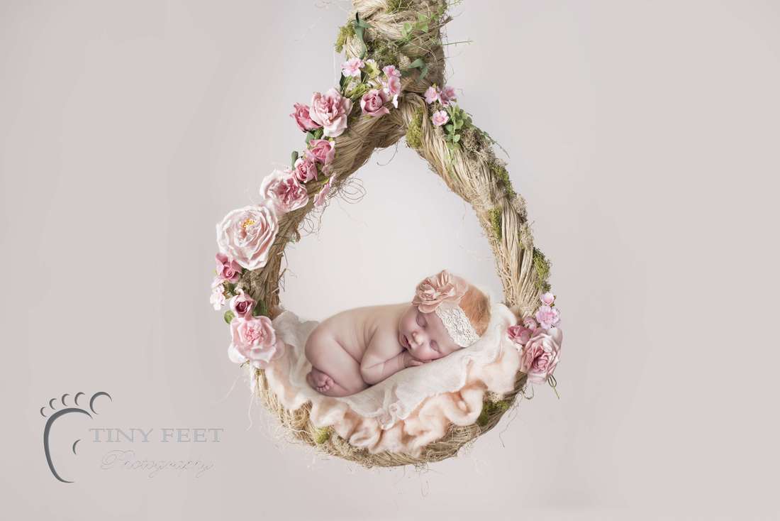 Tiny Feet Photography newborn baby girl in bum up pose in composite image in hanging basket