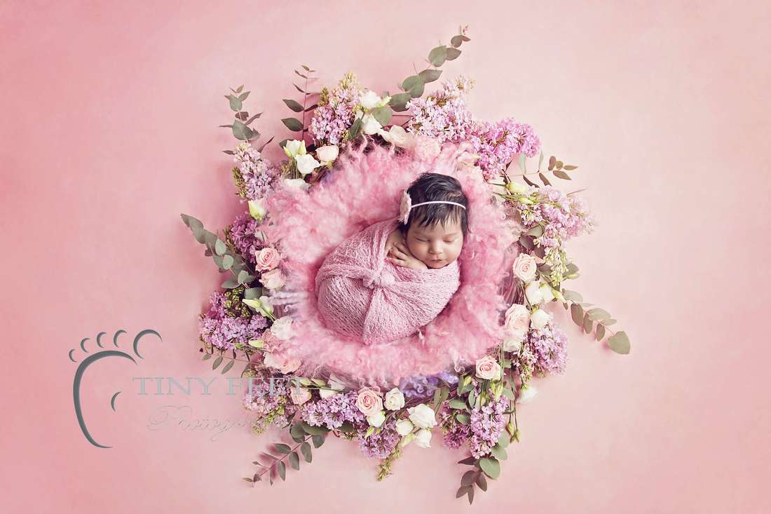 Tiny Feet Photography newborn baby girl posed in pink curly felt on digital flower backdrop
