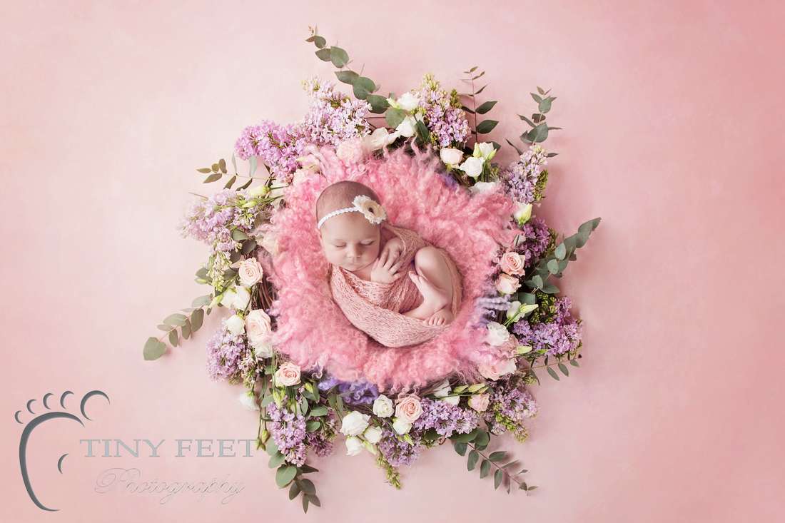 Tiny Feet Photography Newborn girl posed in pink bowl with flowers on pink backdrop