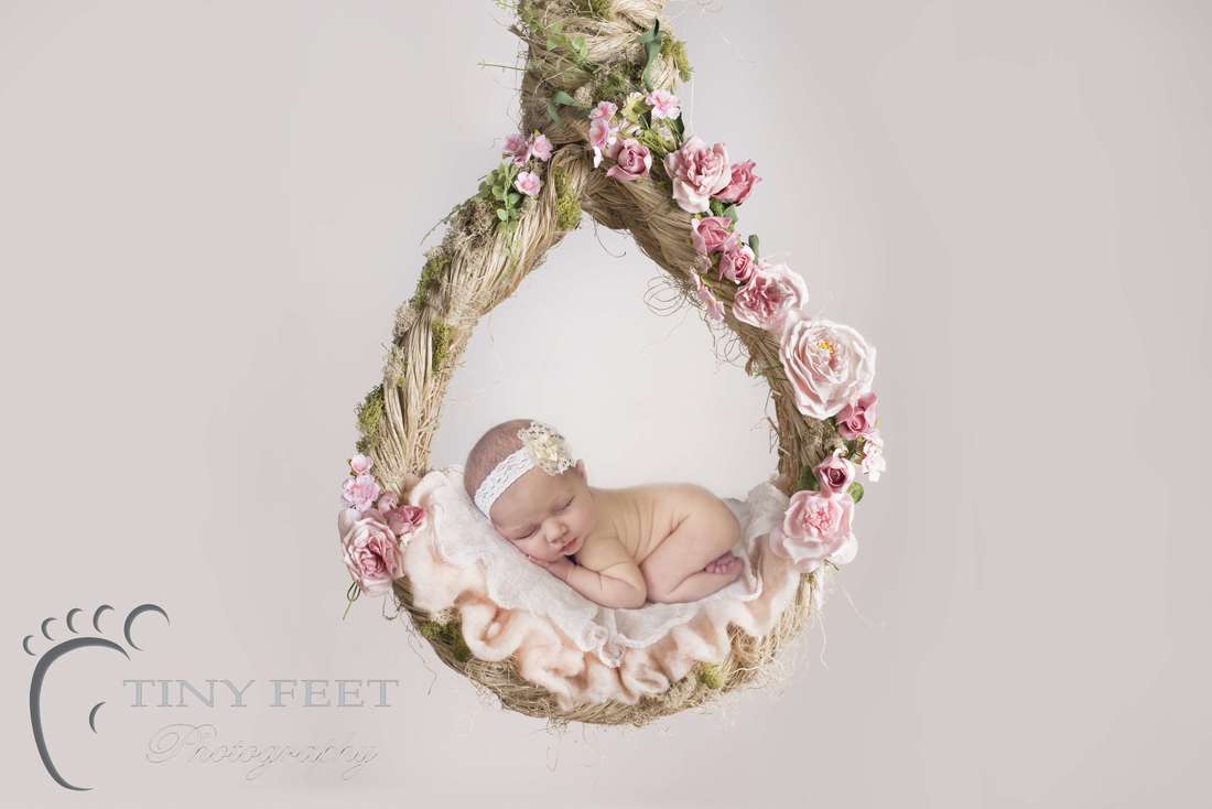 Tiny Feet Photography Newborn baby girl posed on hanging basket