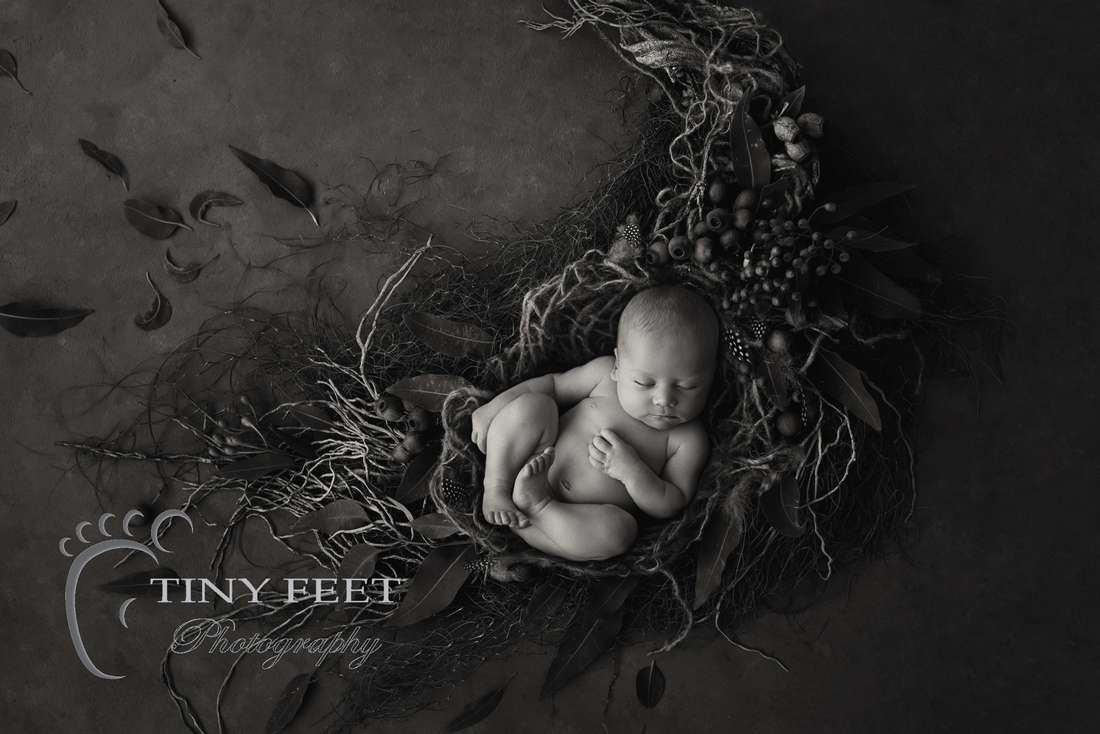 Tiny Feet Photography newborn baby boy in black and white image of digital backdrop with leaves
