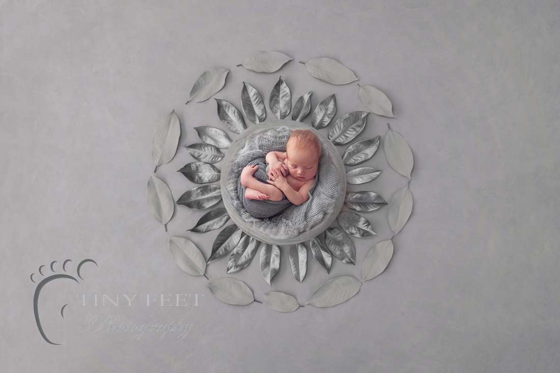 Tiny Feet Photography, newborn baby in grey Luisa Dunn digital backdrop